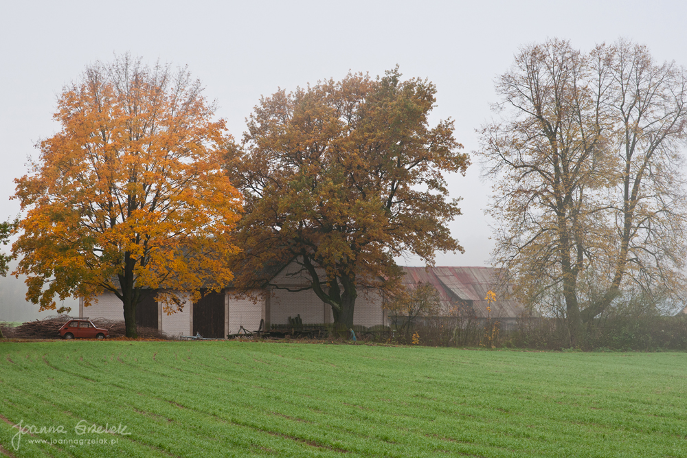 057_Biebrza - pazdziernik 2013.jpg